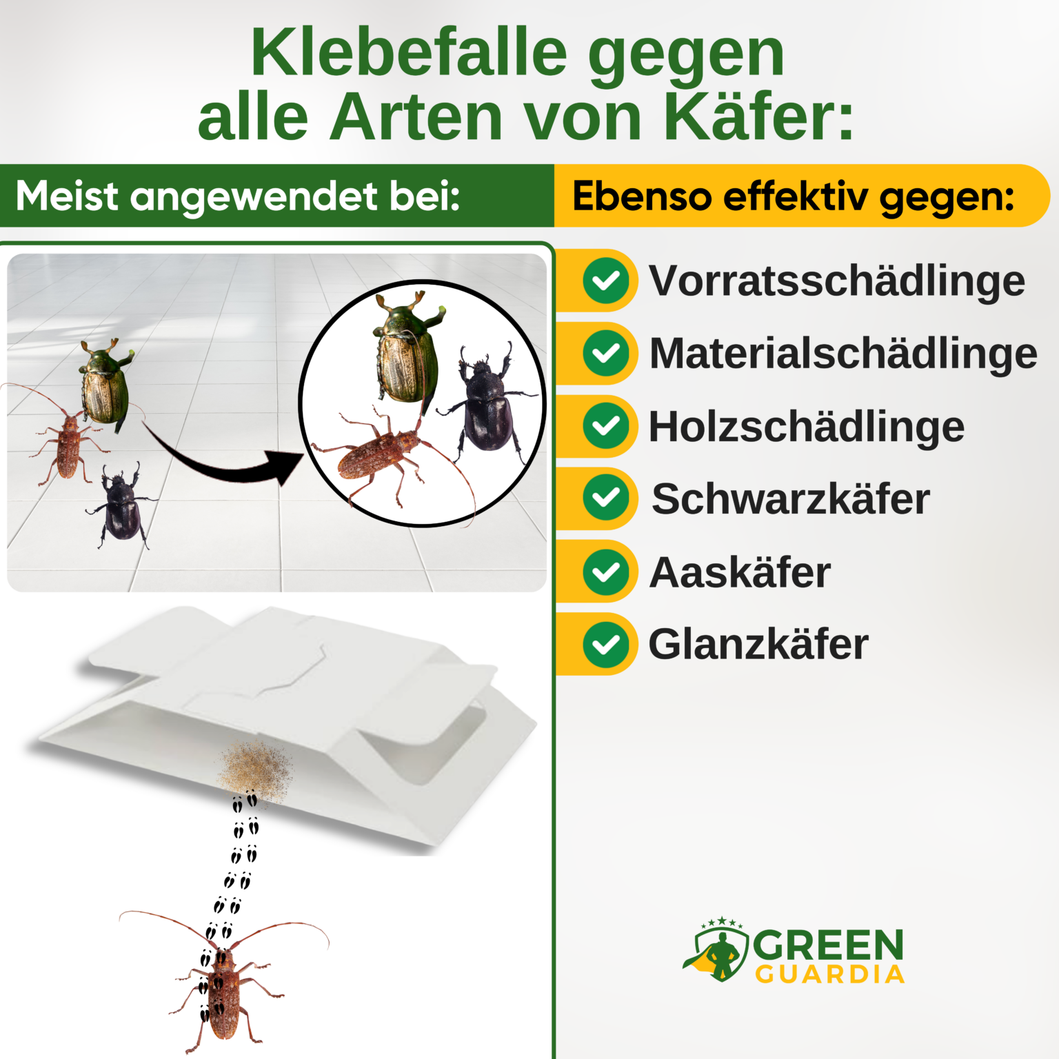 Käfer Falle mit Spezial-Lockstoff