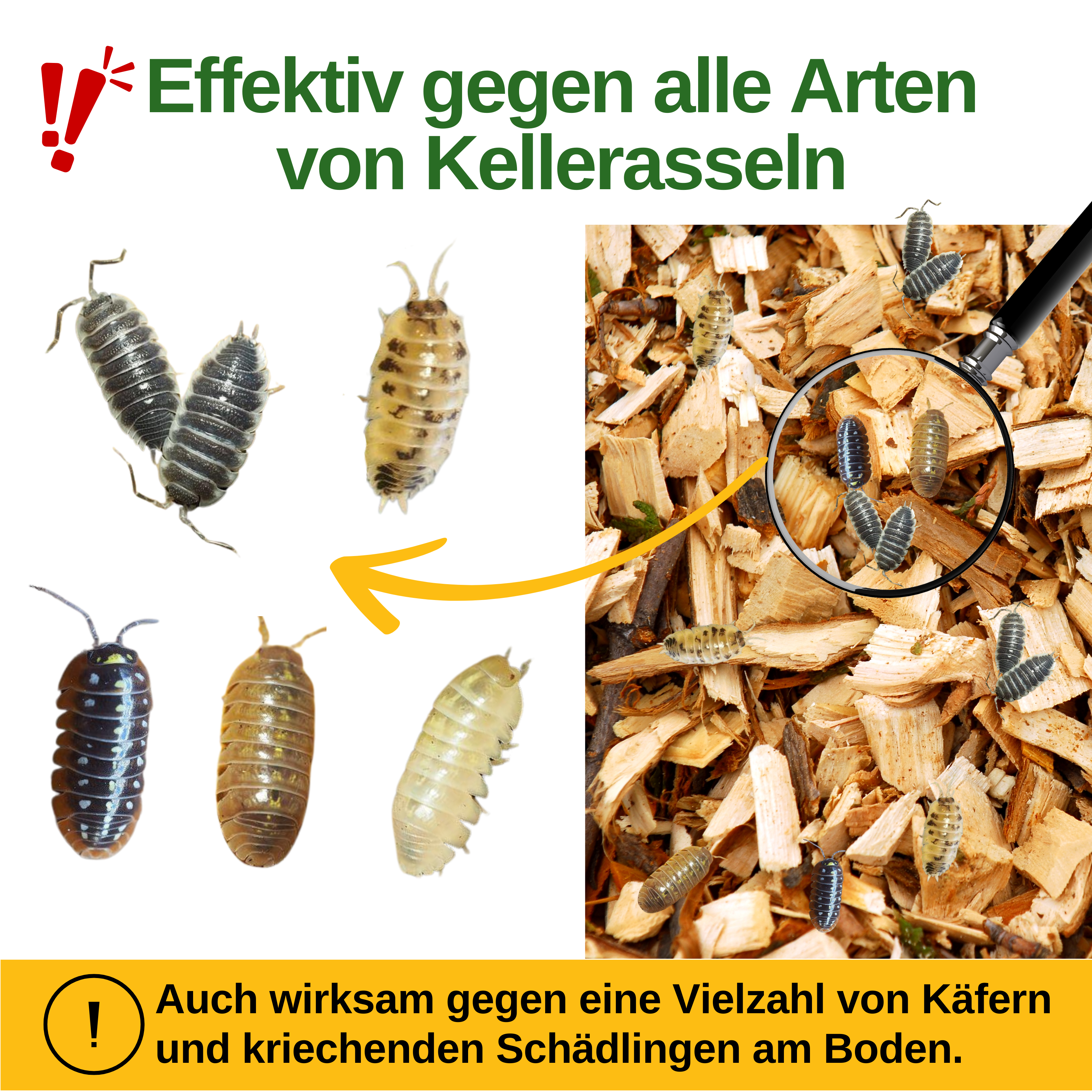 Kellerasseln Falle mit Spezial-Lockstoff