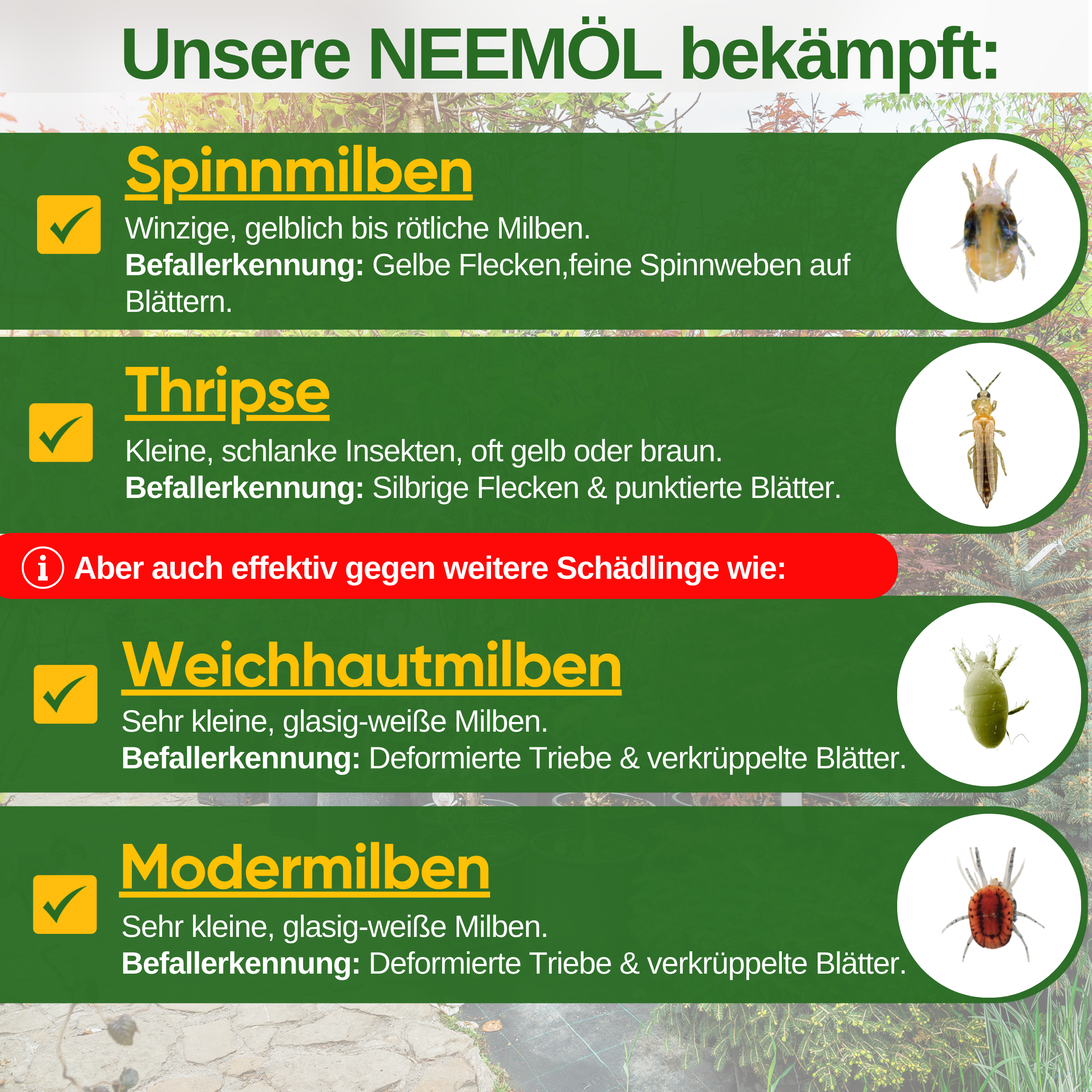 Power Neem oil against spider mites