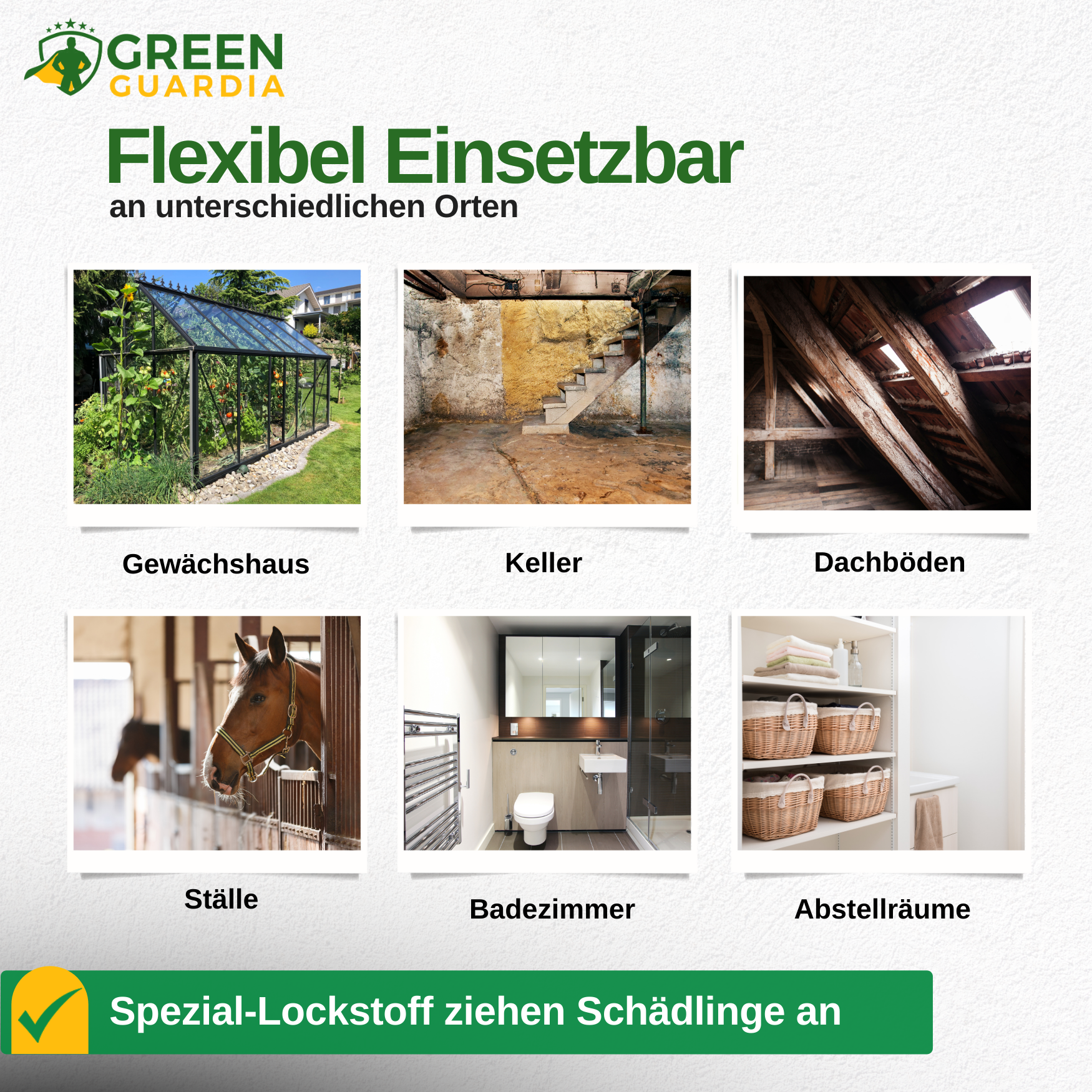 Kellerasseln Falle mit Spezial-Lockstoff