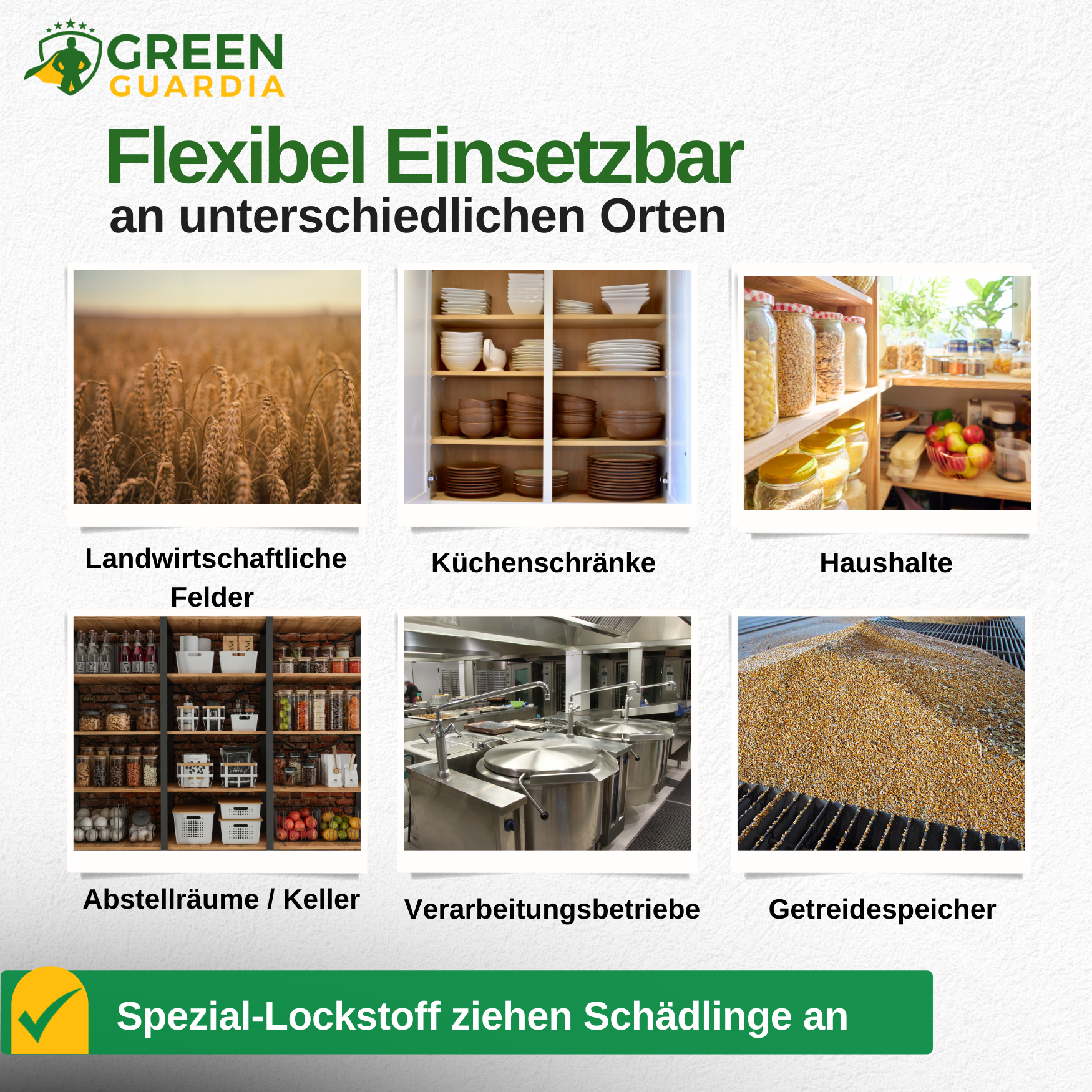 Käfer Falle mit Spezial-Lockstoff