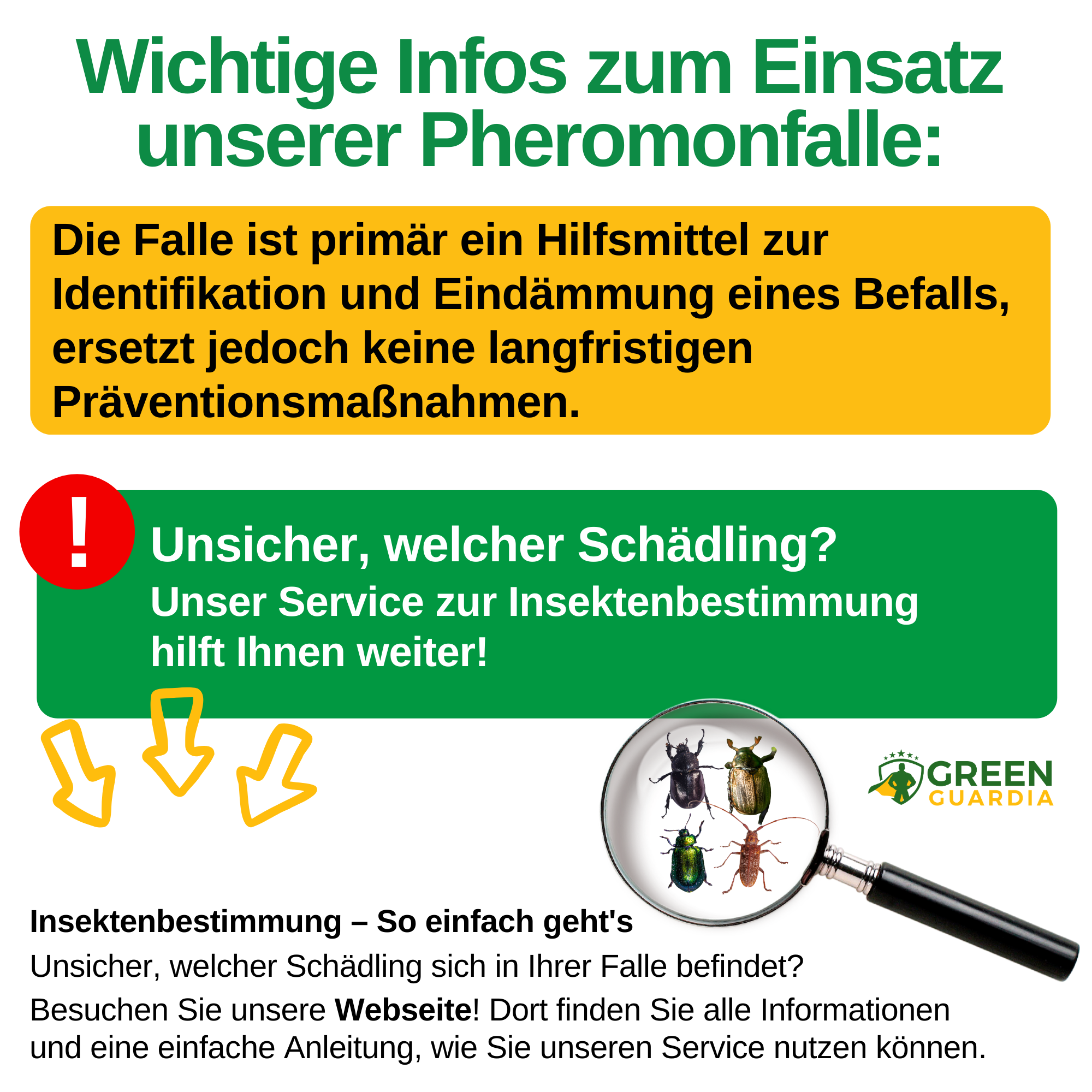Käfer Falle mit Spezial-Lockstoff