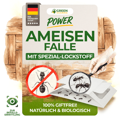 Ameisen Falle - Green Guardia - Ihr Experte für Schädlinge und Pflanzen
