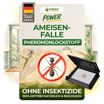 Ant trap