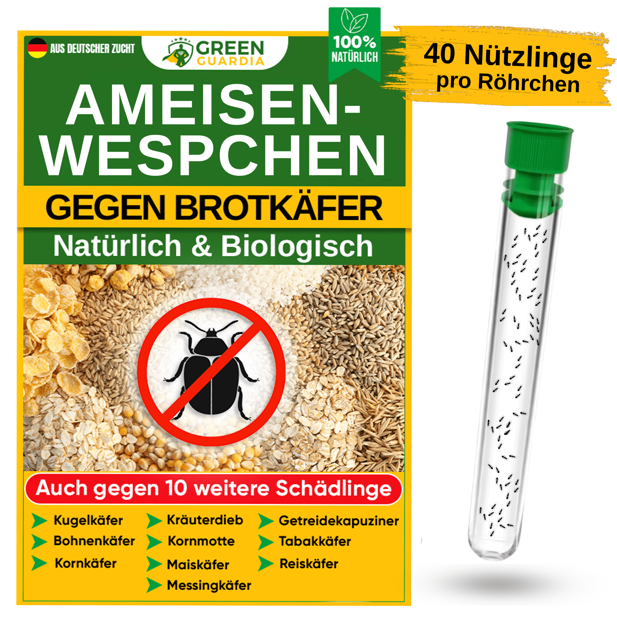 Ameisenwespchen gegen Brotkäfer, Tabakkäfer & Co. - Green Guardia - Ihr Experte für Schädlinge und Pflanzen
