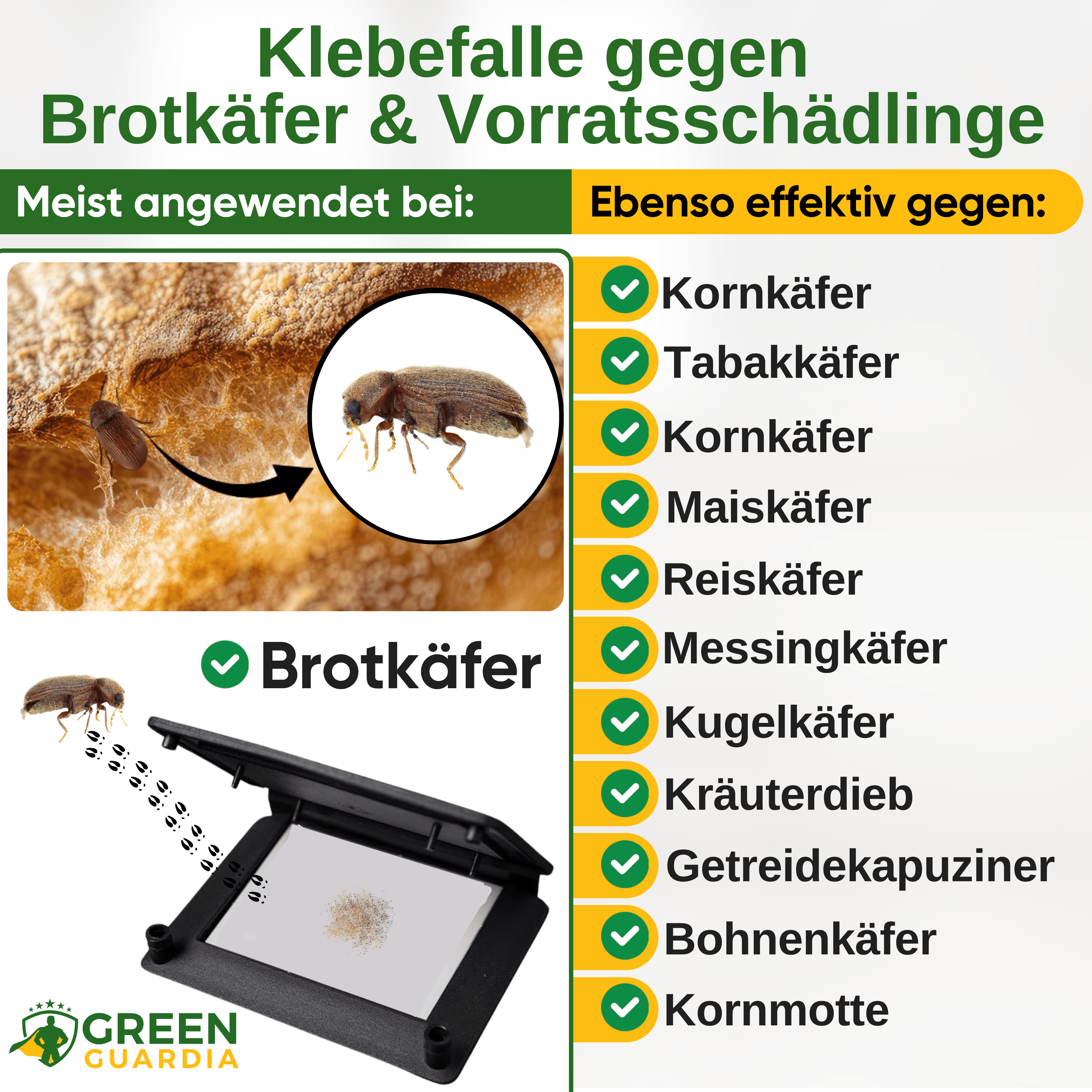Brotkäfer Falle mit Pheromon - Lockstoff - Green Guardia - Ihr Experte für Schädlinge und Pflanzen