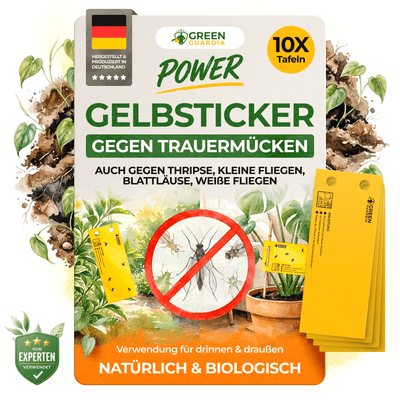 Gelbsticker (10x Stück inkl. Bambusstäbchen) - Green Guardia - Ihr Experte für Schädlinge und Pflanzen