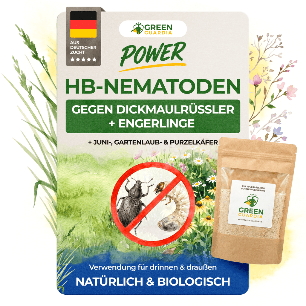 nematoden kirschlorbeer HB-Nematoden gegen Dickmaulrüssler & Engerlinge