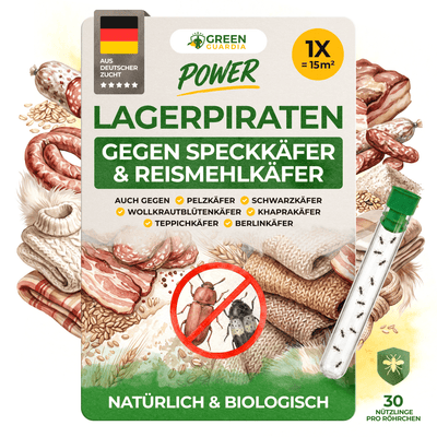 Lagerpiraten gegen Speckkäfer, Reismehl-/, Pelz-/ & Teppichkäfer - Green Guardia - Ihr Experte für Schädlinge und Pflanzen