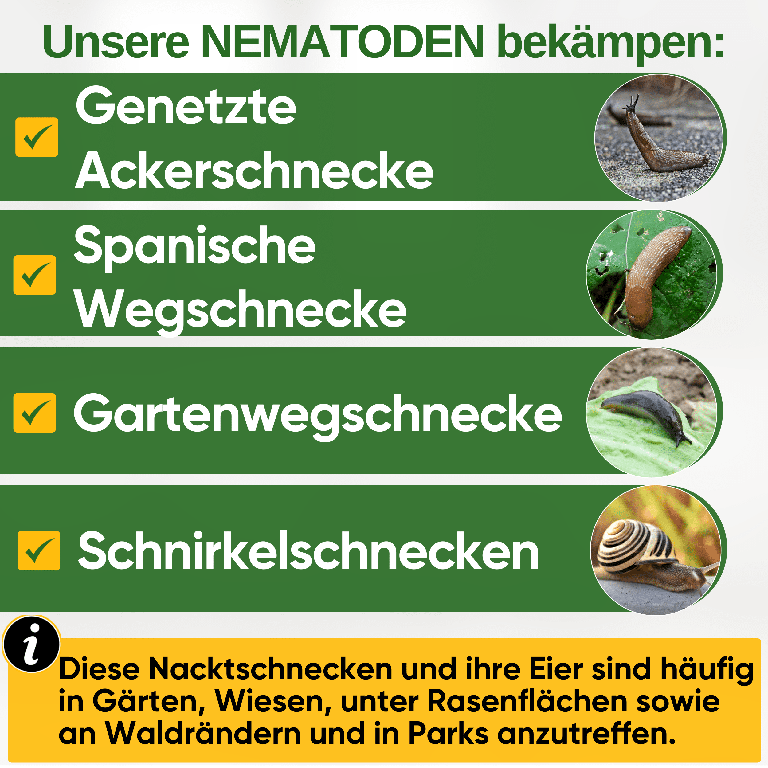 Nematoden gegen alle Arten von Schnecken - Green Guardia - Ihr Experte für Schädlinge und Pflanzen