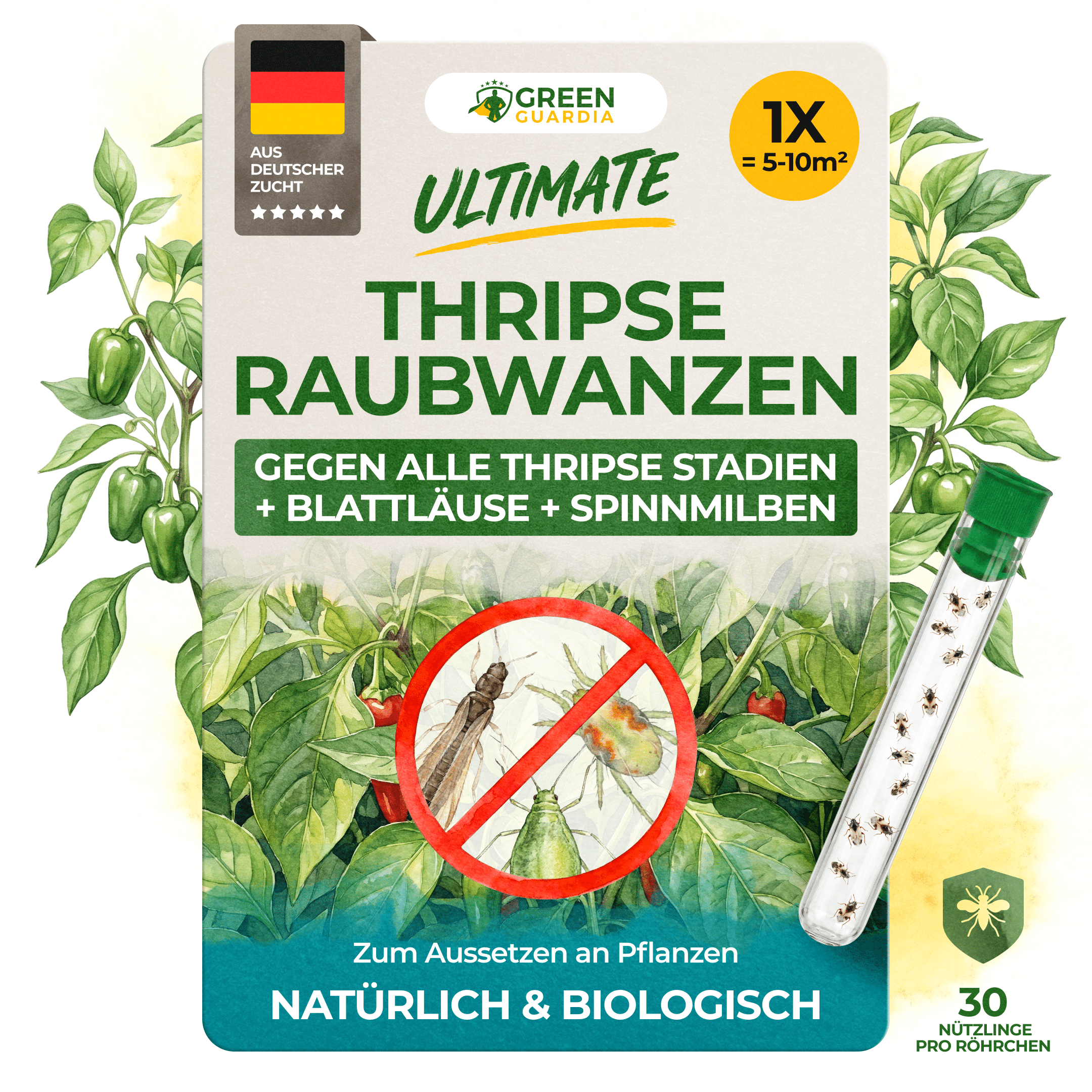 Orius Raubwanzen gegen alle Stadien von Thripse - Green Guardia - Ihr Experte für Schädlinge und Pflanzen