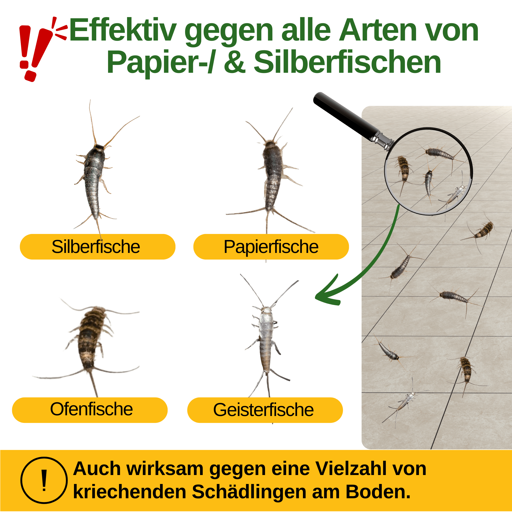 Papierfisch Falle mit Pheromon - Lockstoff - Green Guardia - Ihr Experte für Schädlinge und Pflanzen