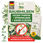 Raubmilben Trio gegen Thripse, Spinnmilben & Weiße Fliegen - Green Guardia - Ihr Experte für Schädlinge und Pflanzen