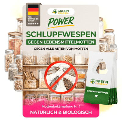 Schlupfwespen gegen Lebensmittelmotten - Green Guardia - Ihr Experte für Schädlinge und Pflanzen