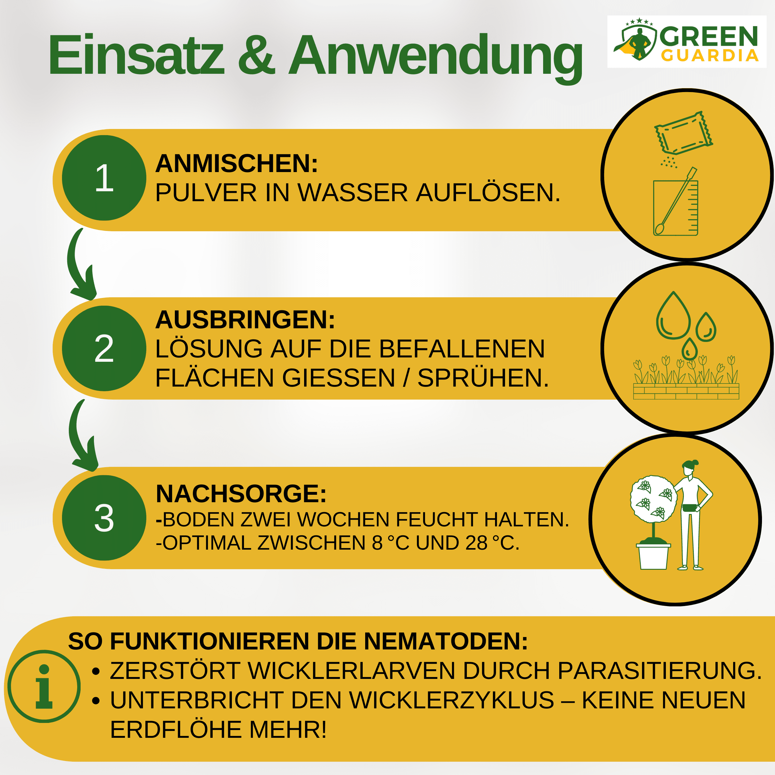 SF - Nematoden gegen Apfelwickler - Green Guardia - Ihr Experte für Schädlinge und Pflanzen