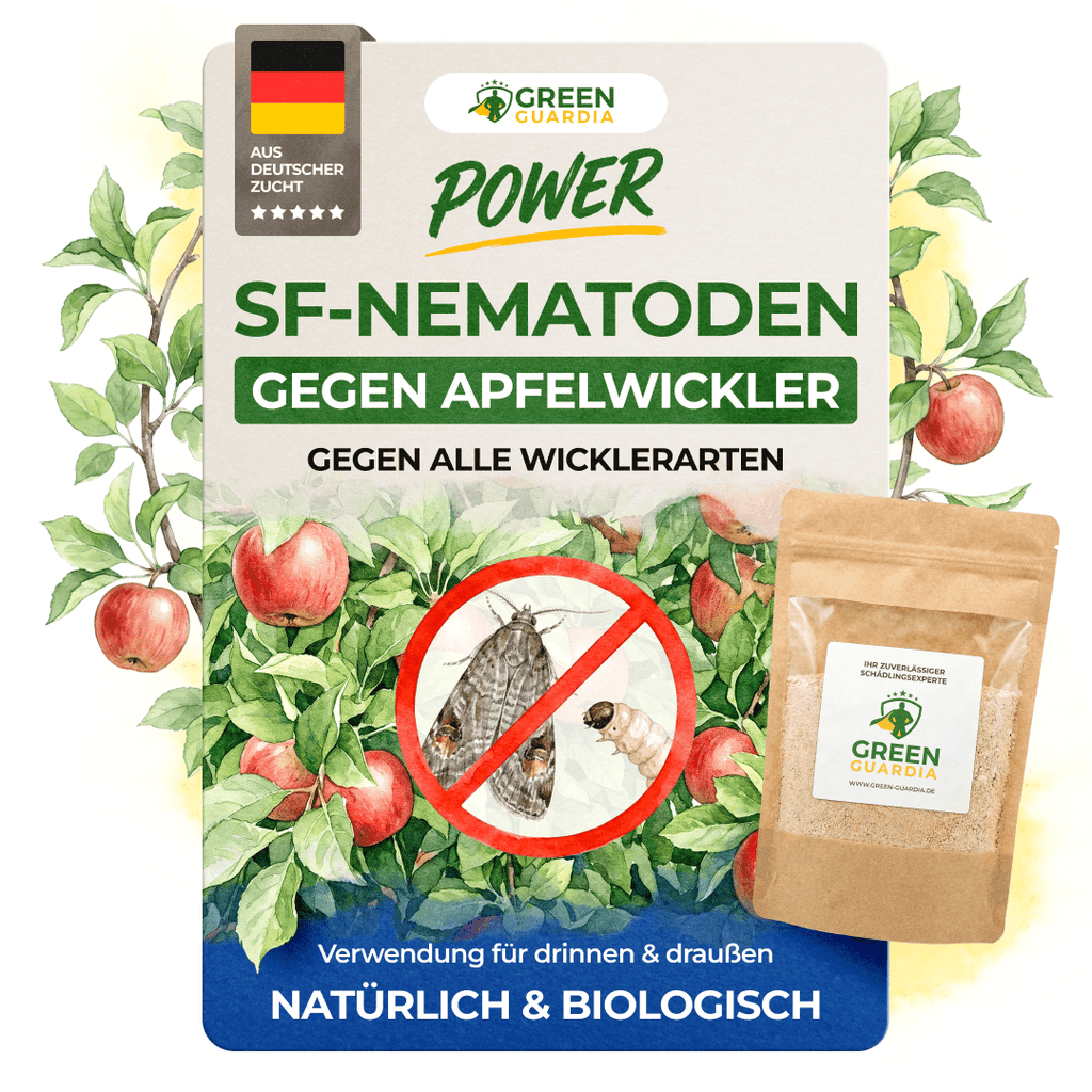 Nematoden Gegen Apfelwickler