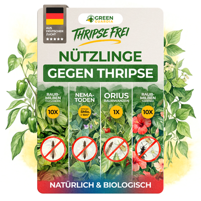 Thripse-Frei Bundle zur Soforthilfe - Green Guardia - Ihr Experte für Schädlinge und Pflanzen