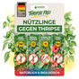 Thripse-Frei Bundle zur Soforthilfe - Green Guardia - Ihr Experte für Schädlinge und Pflanzen