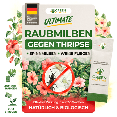Ultimate Raubmilben gegen Thripse, Spinnmilben & Weiße Fliegen - Green Guardia - Ihr Experte für Schädlinge und Pflanzen