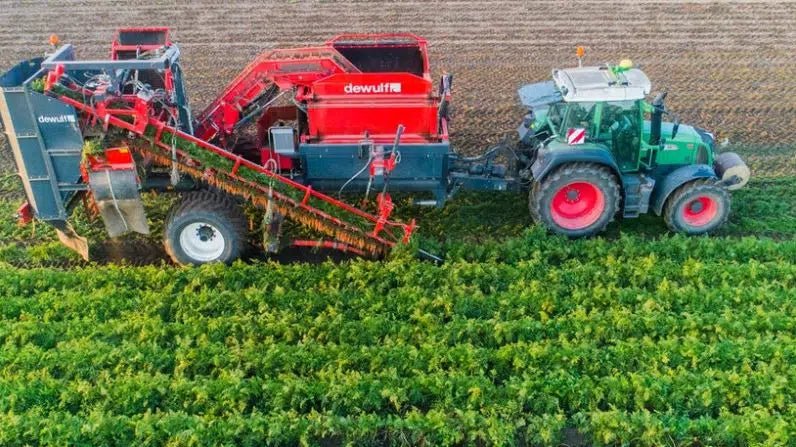 Biologische Lösungen für die Landwirtschaft: Natürlicher Schutz vor Schädlingen - Green Guardia - Ihr Experte für Schädlinge und Pflanzen