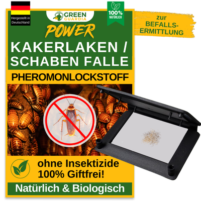 Kakerlaken / Schaben Falle mit Pheromon-Lockstoff