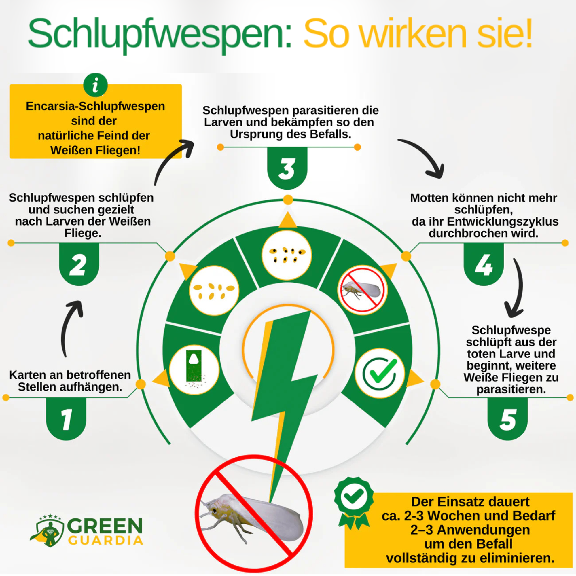 Eretmocerus-Schlupfwespen gegen Weiße- & Tabak Fliegen