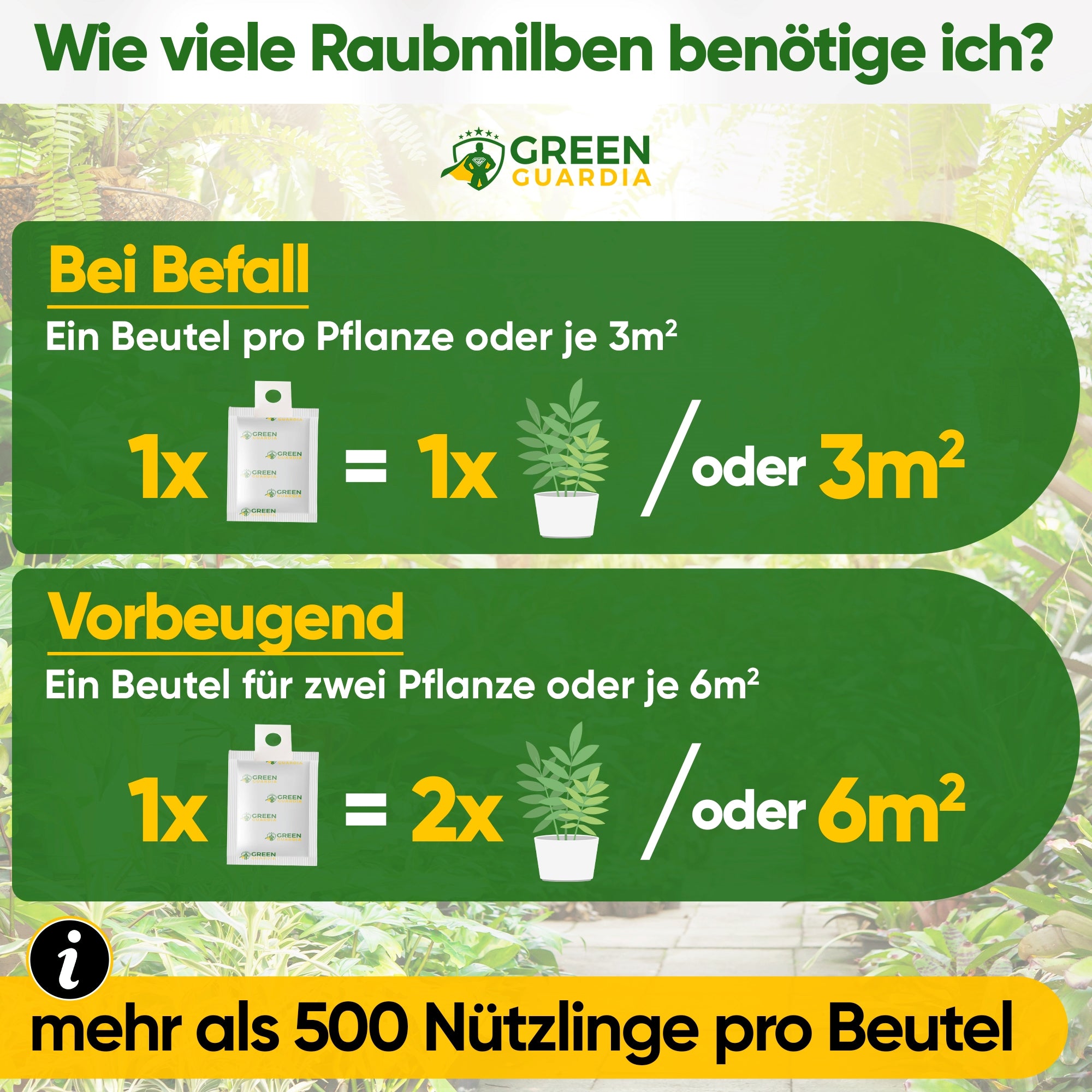 Raubmilben gegen Thripse zum Aufhängen oder Streuen