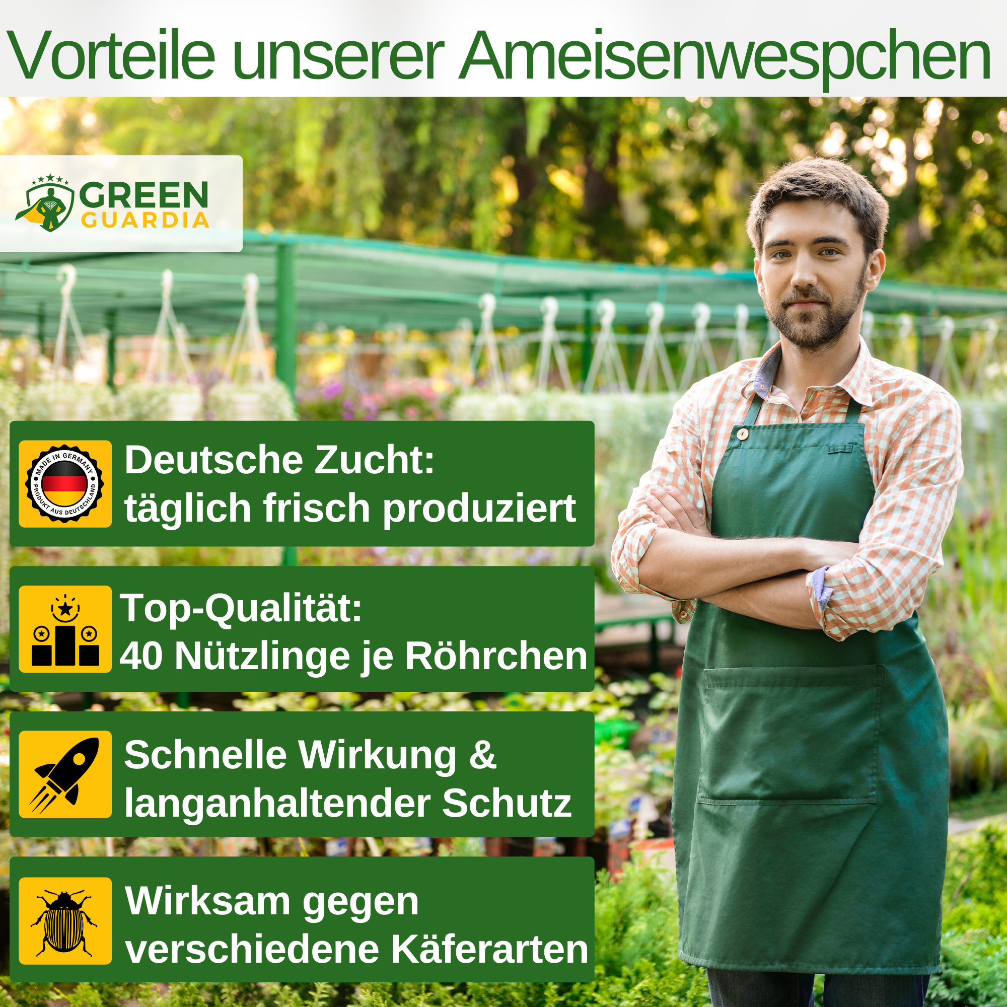 Ameisenwespchen gegen Brotkäfer, Tabakkäfer & Co.