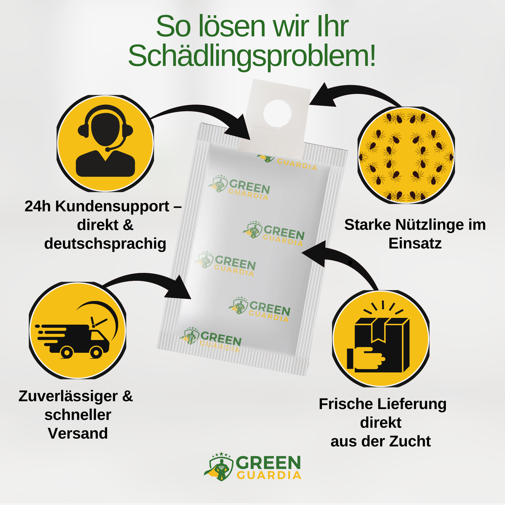 Ameisenwespchen gegen Brotkäfer, Tabakkäfer & Co.