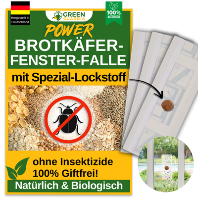 Brotkäfer Fenster-Falle mit Spezial-Lockstoff