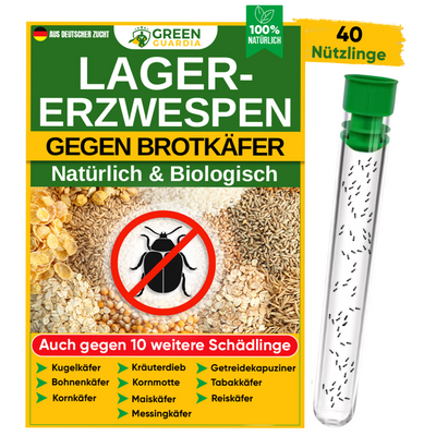Lagererzwespen gegen Brotkäfer, Reiskäfer & Co.