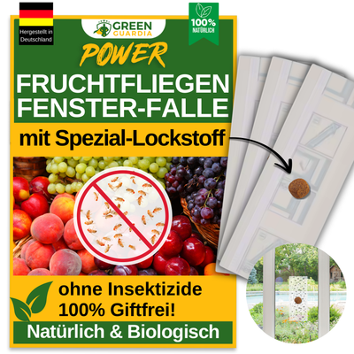 Fruchtfliegen Fenster-Falle mit Spezial-Lockstoff