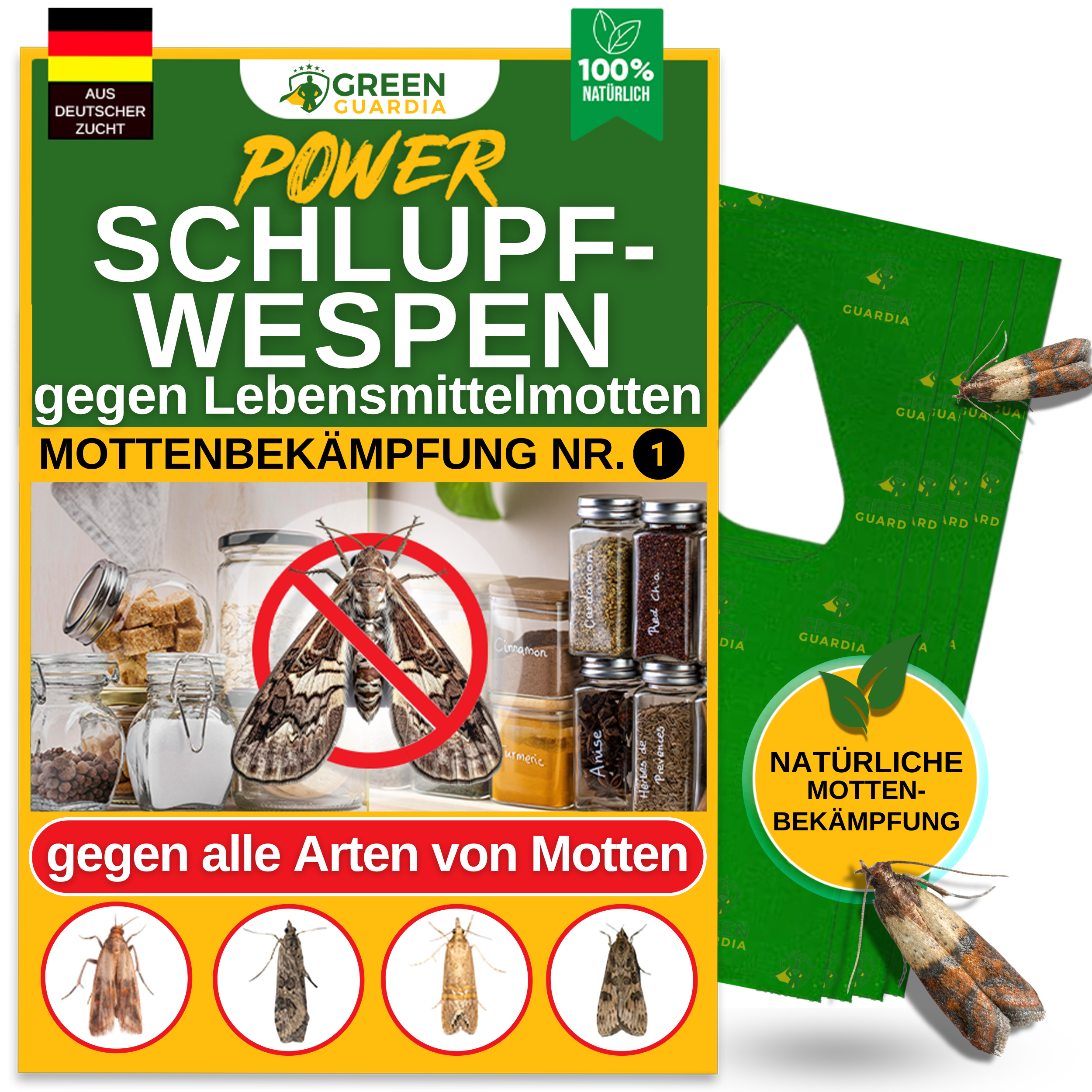 Schlupfwespen gegen Lebensmittelmotten