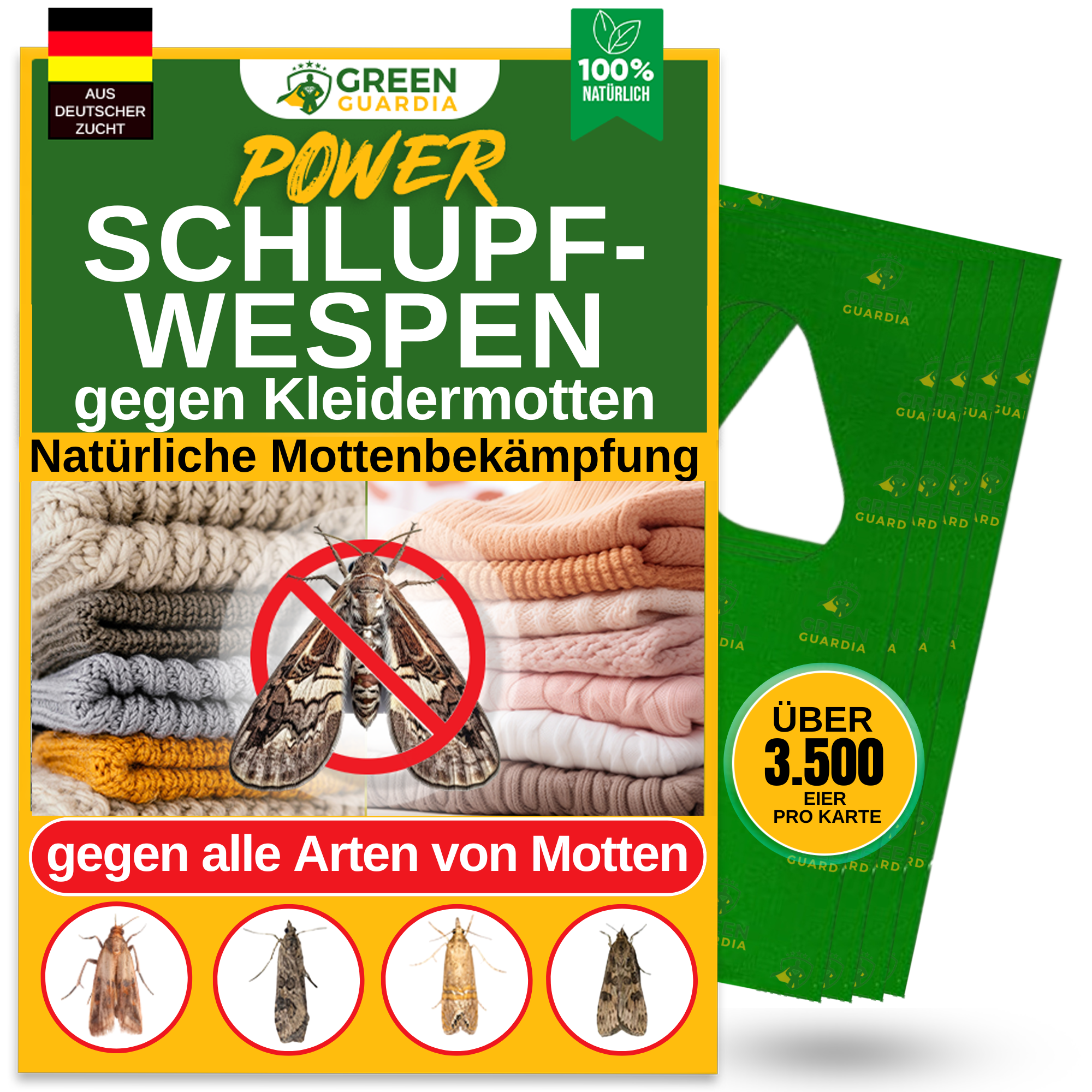 Schlupfwespen gegen Kleidermotten