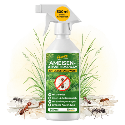Ameisen Abwehrspray Power-Konzentrat - 500ml