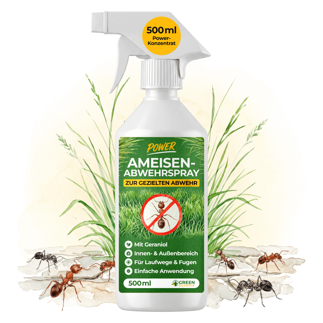 Ameisen Abwehrspray Power-Konzentrat - 500ml - Green Guardia - Ihr Experte für Schädlinge und Pflanzen