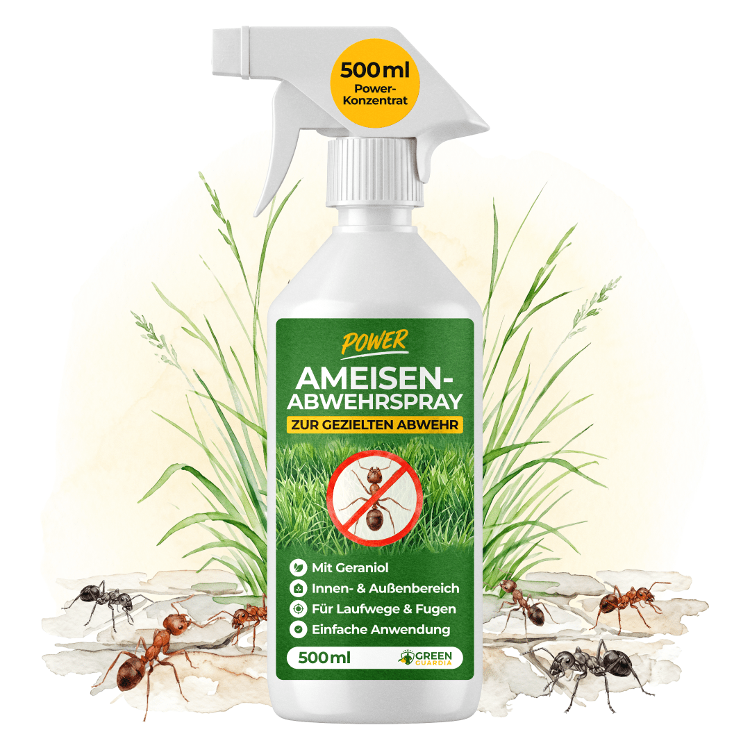 Ameisen Abwehrspray Power-Konzentrat - 500ml - Green Guardia - Ihr Experte für Schädlinge und Pflanzen