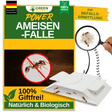 Ameisen Falle