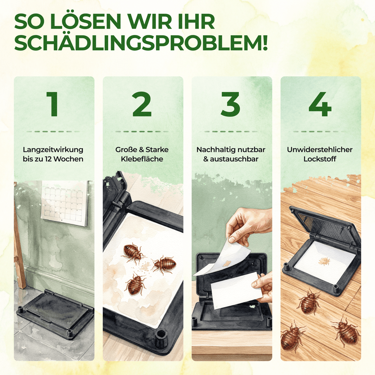 Bettwanzen Falle - Green Guardia - Ihr Experte für Schädlinge und Pflanzen