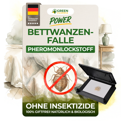 Bedwantsenval met feromonenlokstof