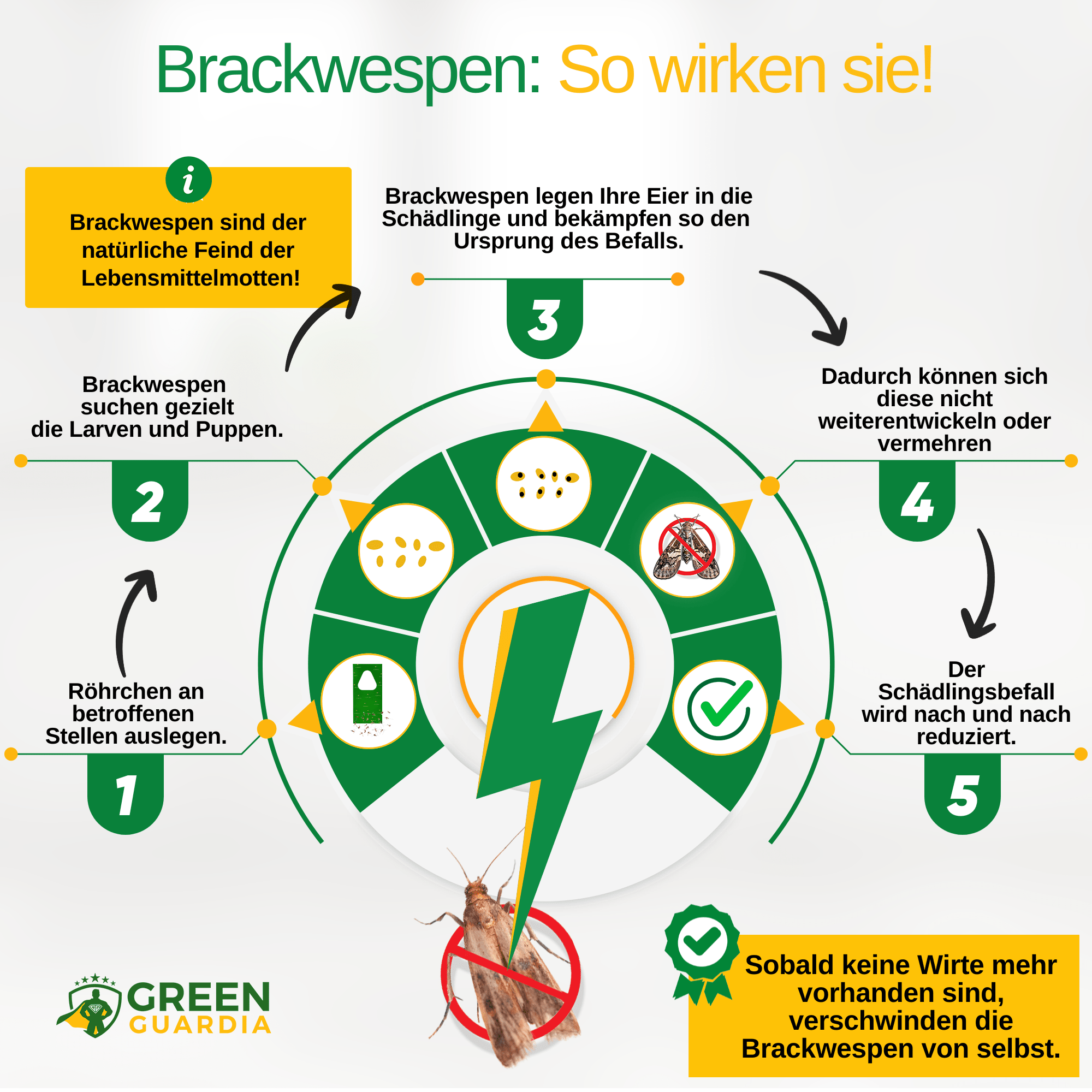 Brackwespen gegen Lebensmittelmotten - Green Guardia - Ihr Experte für Schädlinge und Pflanzen