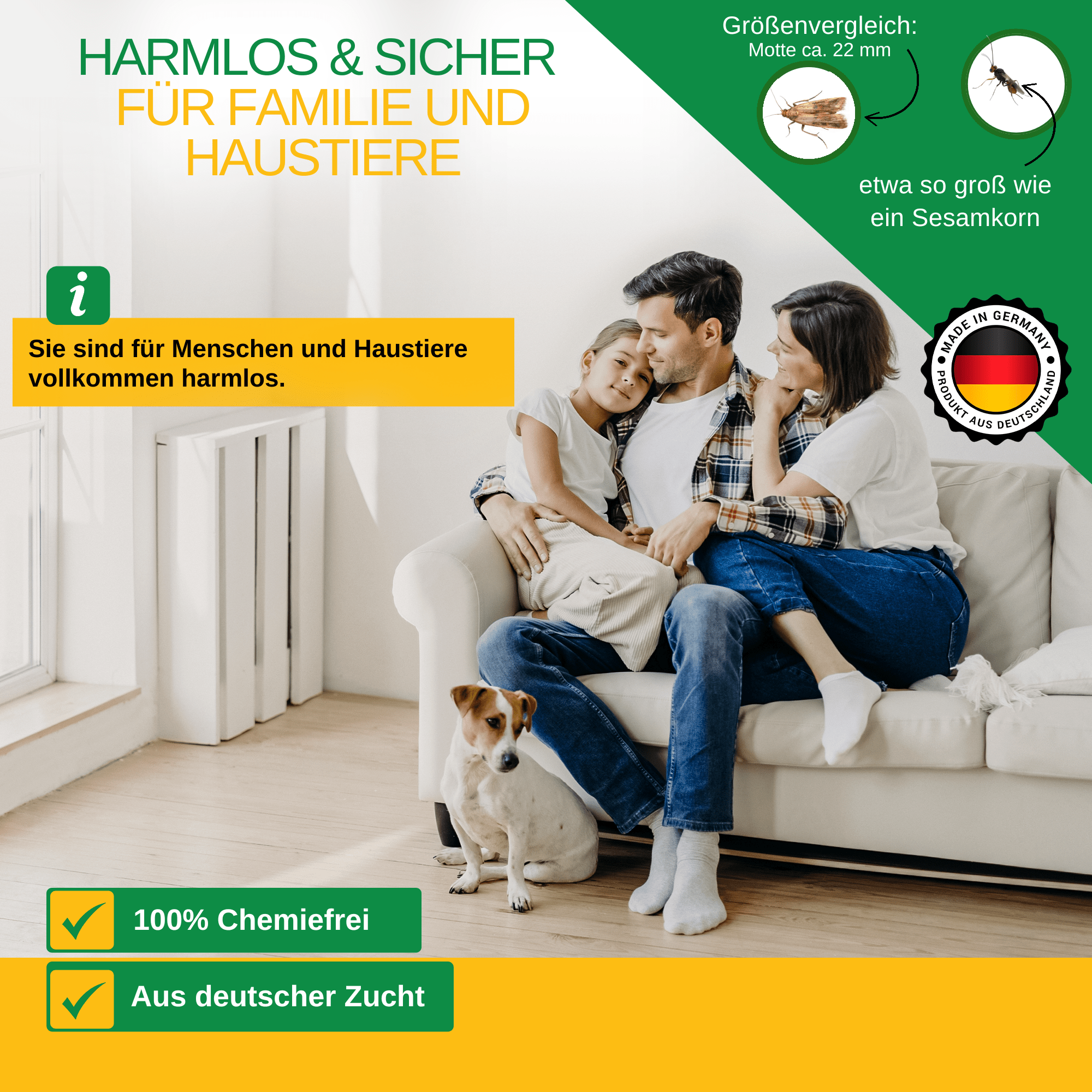 Brackwespen gegen Lebensmittelmotten - Green Guardia - Ihr Experte für Schädlinge und Pflanzen