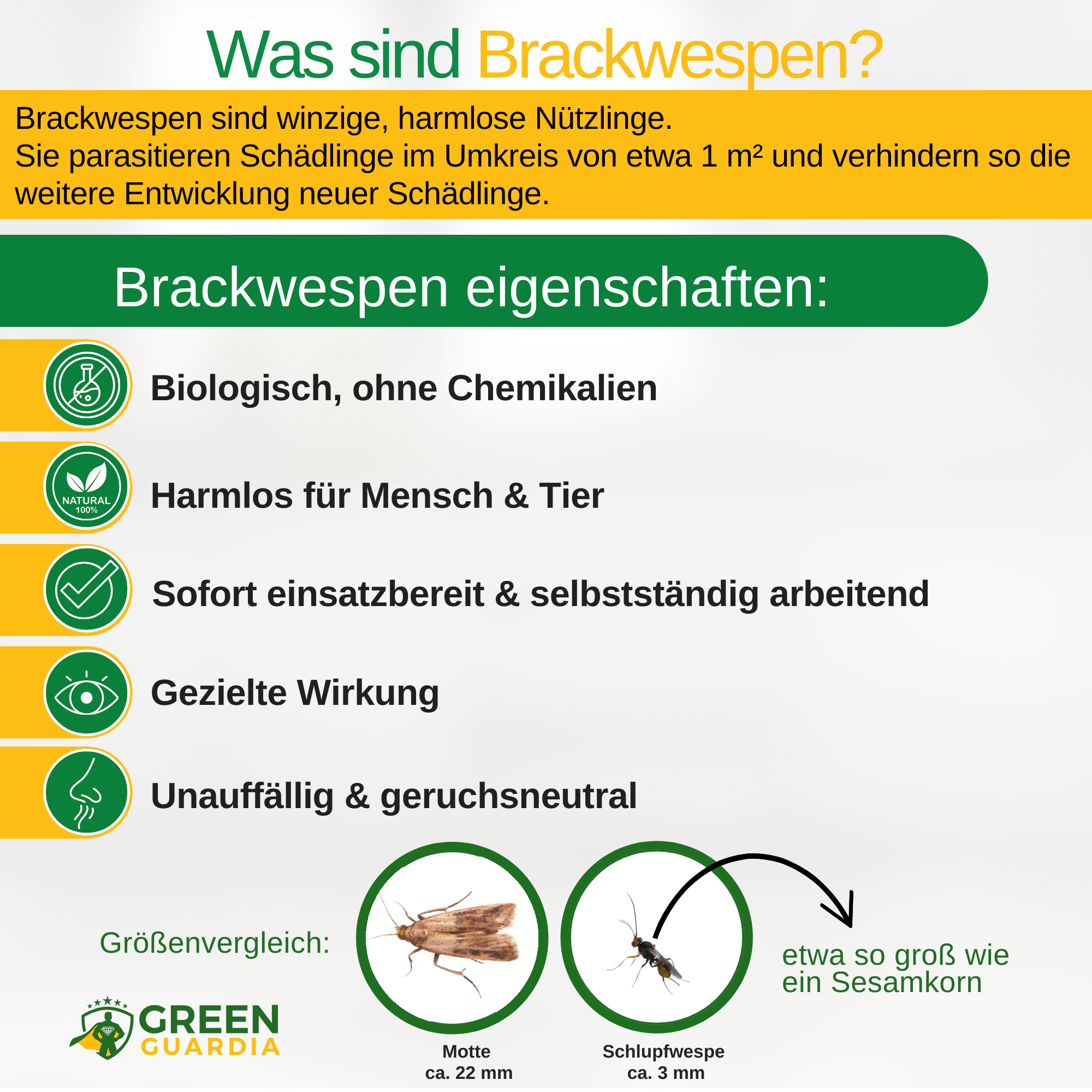 Brackwespen gegen Lebensmittelmotten - Green Guardia - Ihr Experte für Schädlinge und Pflanzen
