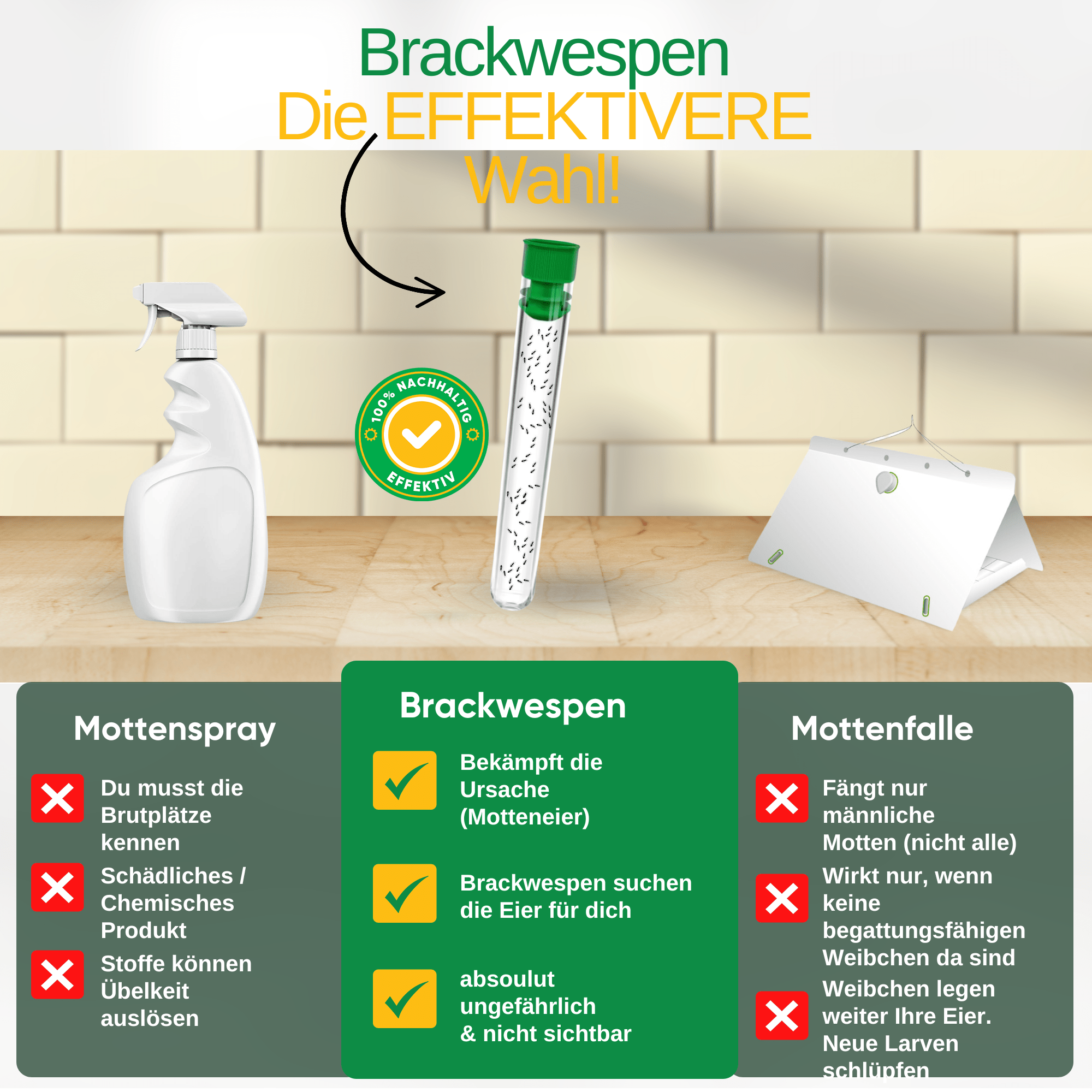 Brackwespen gegen Lebensmittelmotten - Green Guardia - Ihr Experte für Schädlinge und Pflanzen