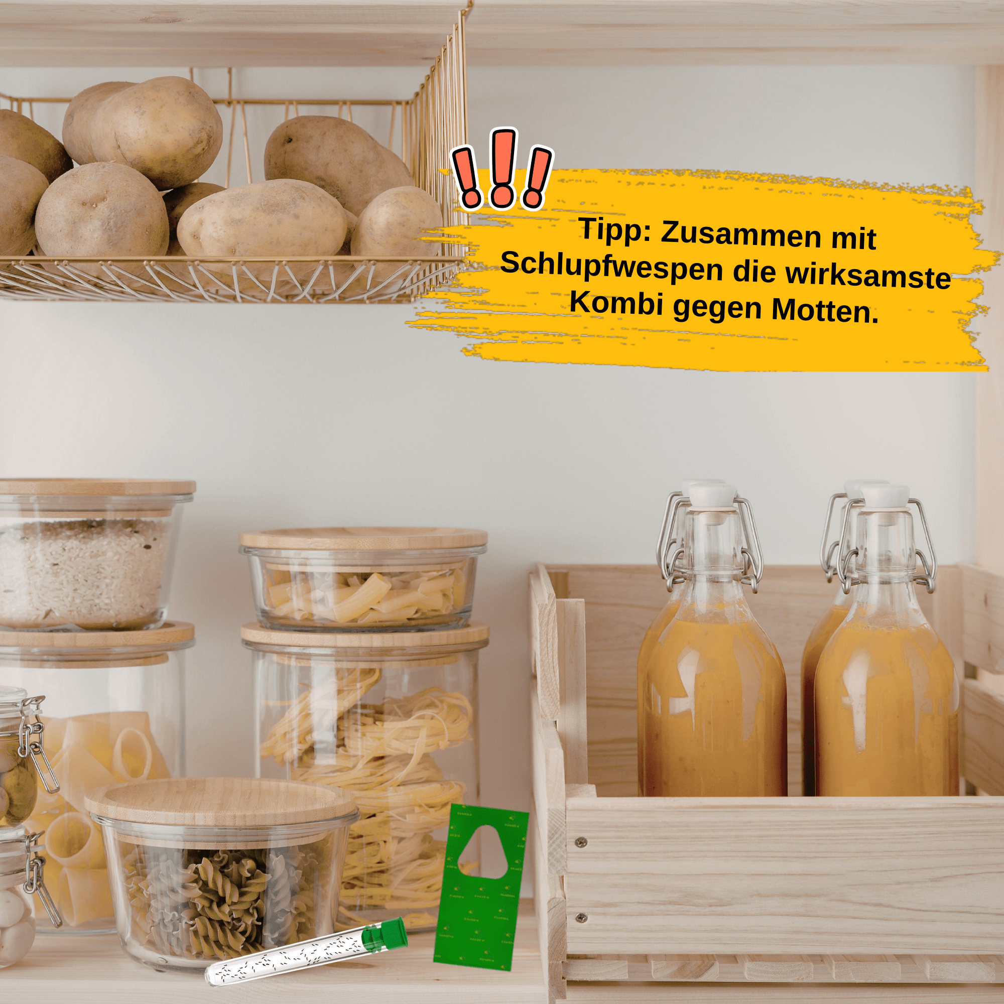 Brackwespen gegen Lebensmittelmotten - Green Guardia - Ihr Experte für Schädlinge und Pflanzen
