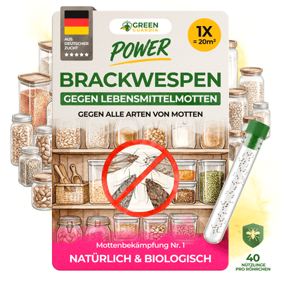 Brackwespen gegen Lebensmittelmotten - Green Guardia - Ihr Experte für Schädlinge und Pflanzen