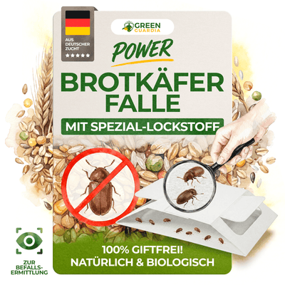 Brotkäfer Falle - Green Guardia - Ihr Experte für Schädlinge und Pflanzen