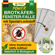 Brotkäfer Fenster-Falle