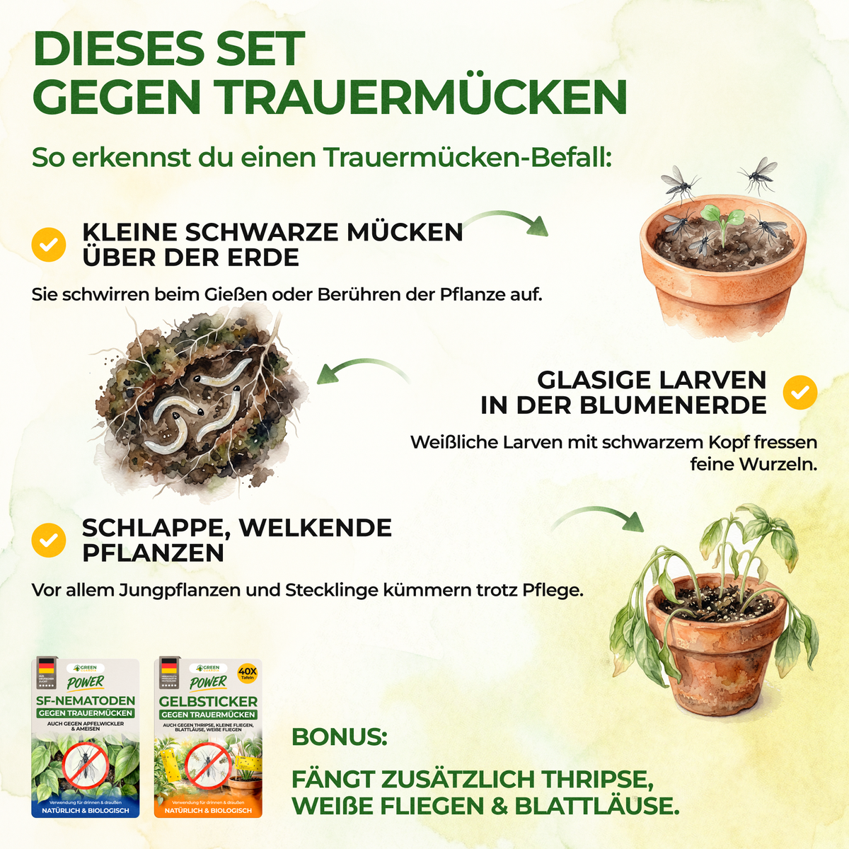 Fungus Gnat-Free Set