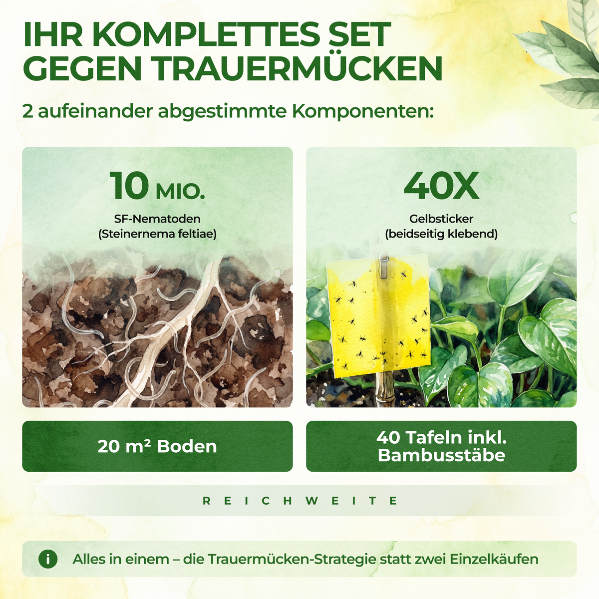Fungus Gnat-Free Set